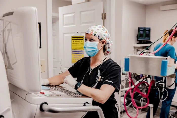 Veterinary Dentistry and Oral Surgery of Ohio 4