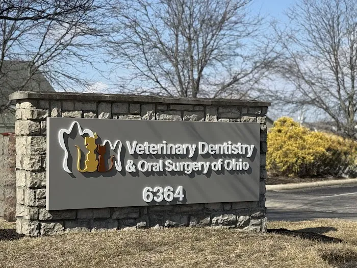 Veterinary Dentistry and Oral Surgery of Ohio 1