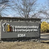 Veterinary Dentistry and Oral Surgery of Ohio ico