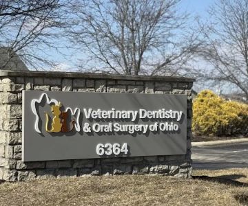 Veterinary Dentistry and Oral Surgery of Ohio