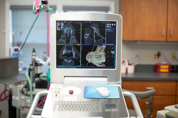 Veterinary Dentistry and Oral Surgery of Ohio 8
