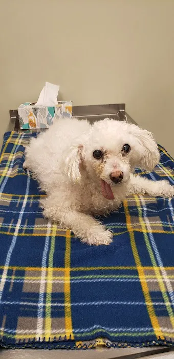 Bethel Animal Hospital 12