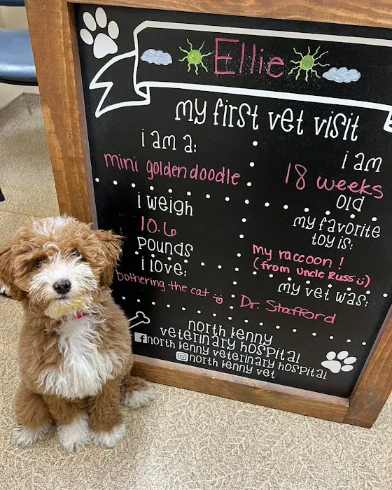 North Kenny Veterinary Hospital 12