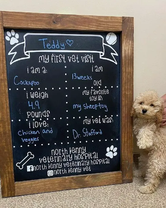 North Kenny Veterinary Hospital 12