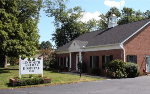 Linworth Animal Hospital 8