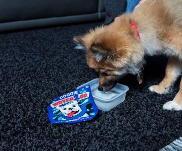 Doggie Water 2 Go