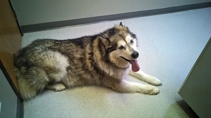 Suburban Animal Clinic 12