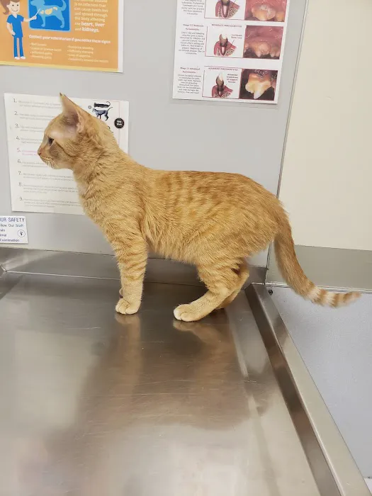 Suburban Animal Clinic 12