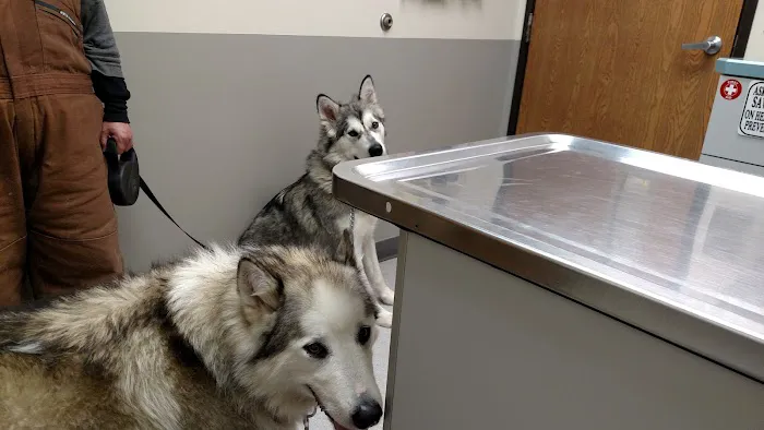 Suburban Animal Clinic 12