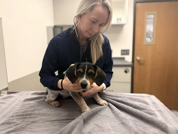 Suburban Animal Clinic 12