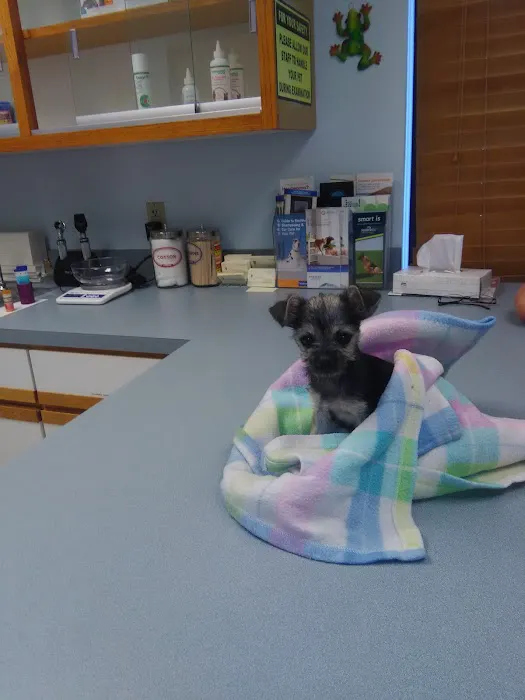 Healthy Pets of Westgate 12