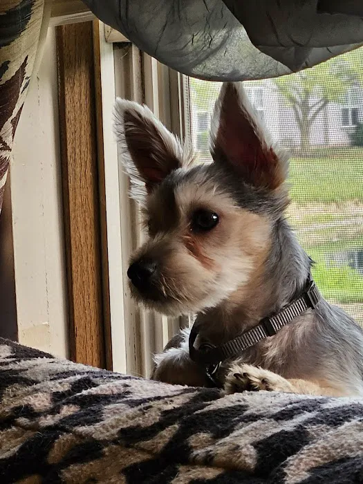 Healthy Pets of Westgate 12