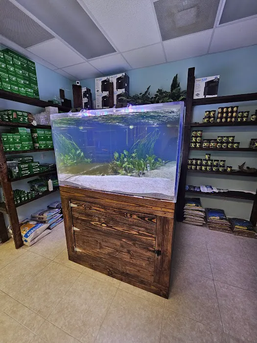 Shop Market Aquariums 12