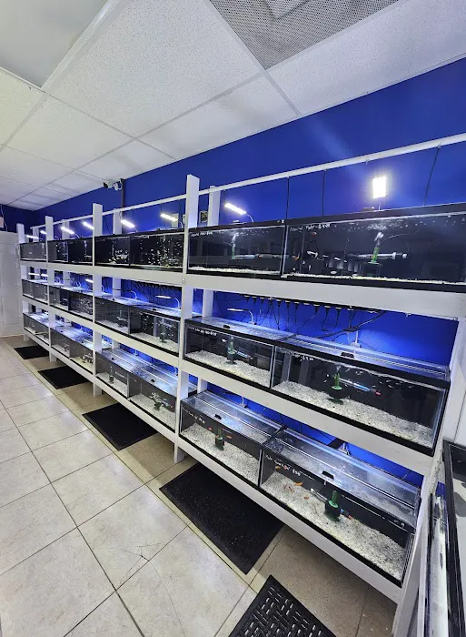 Shop Market Aquariums 12