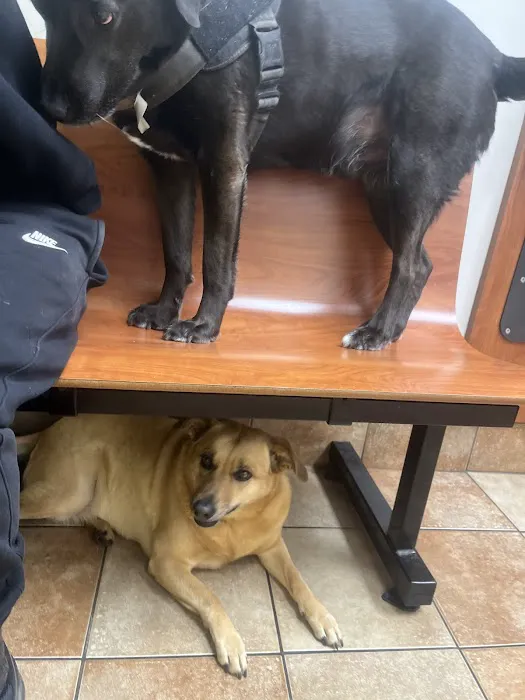Banfield Pet Hospital 4