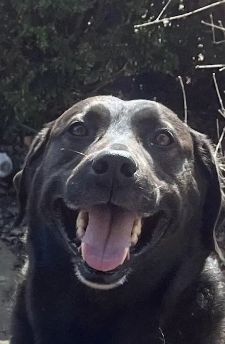 Banfield Pet Hospital 3
