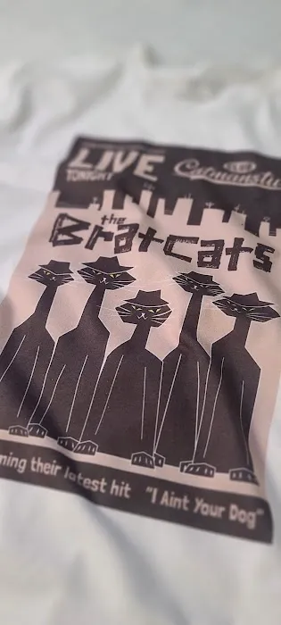 CatManStu 12