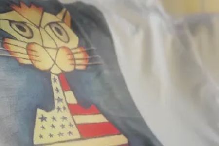 CatManStu