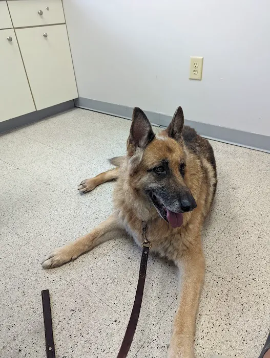 Westside Animal Clinic 12