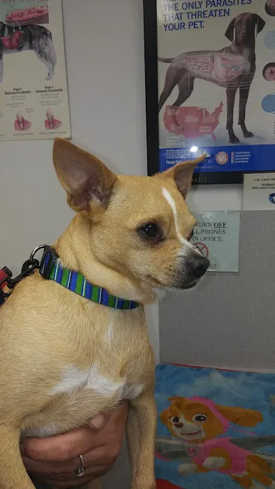 Westside Animal Clinic 12
