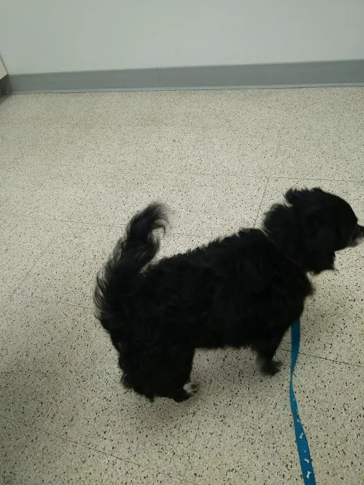 Westside Animal Clinic 12