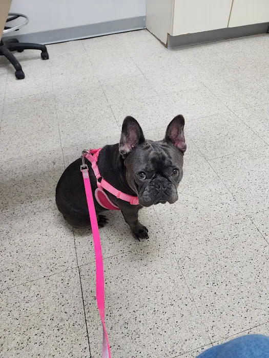 Westside Animal Clinic 12