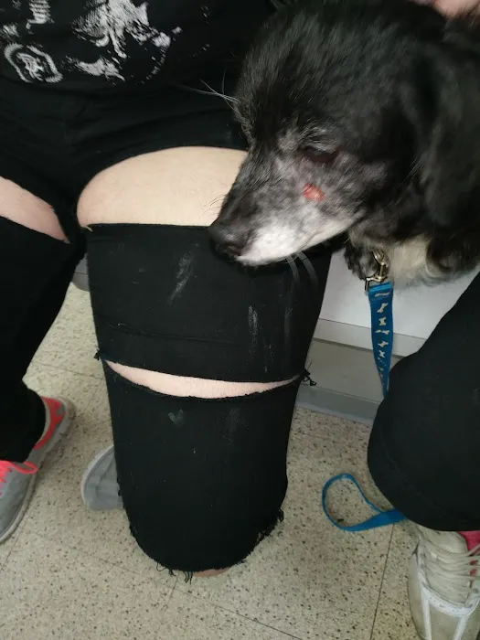 Westside Animal Clinic 12