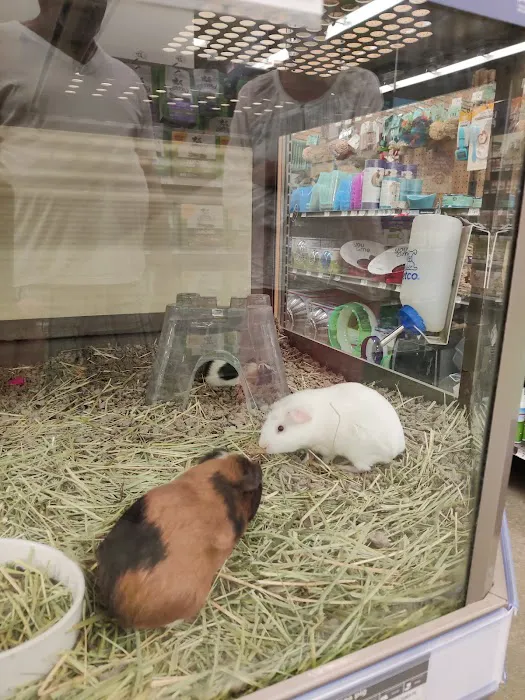 Petco 12
