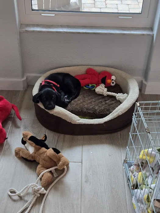 Petco 12