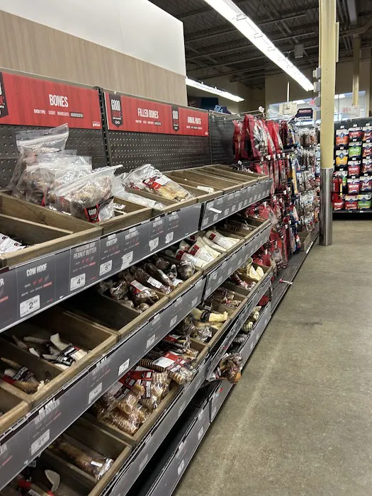 Petco 12