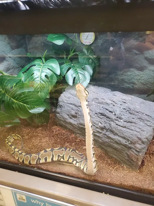 Petco 12