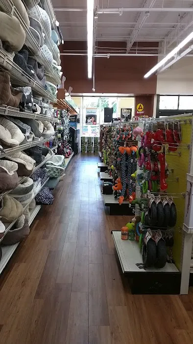 Pet Supermarket 12