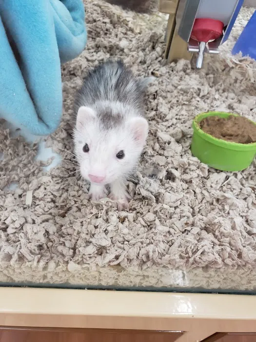 Pet Supermarket 12