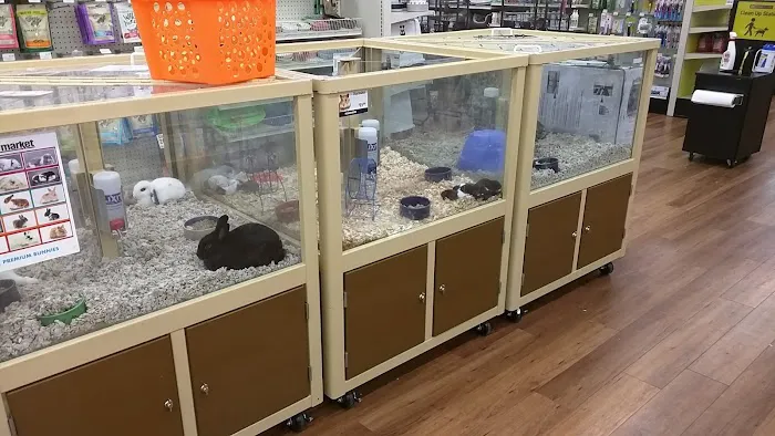Pet Supermarket 12