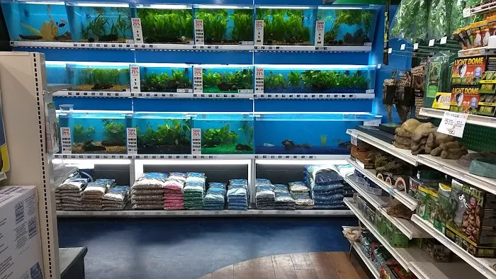 Pet Supermarket 12