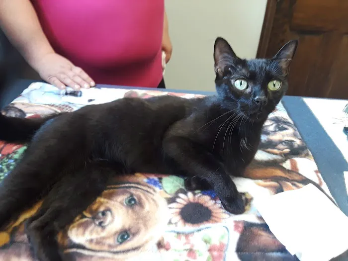 Village Animal Clinic LLC 12