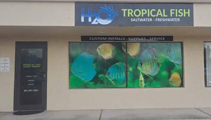 H2O Tropical Fish 12