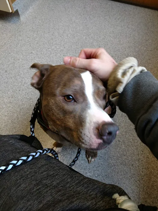 Healthy Pets of Rome Hilliard 12