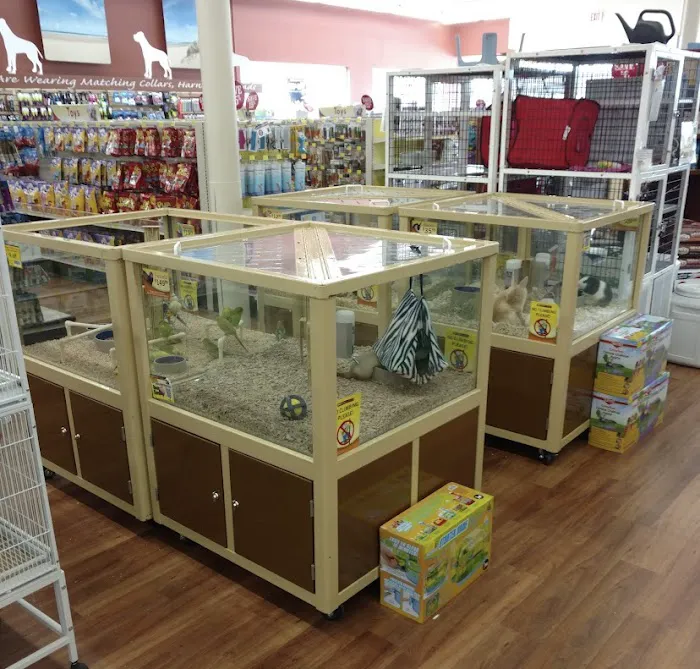 Pet Supermarket 12