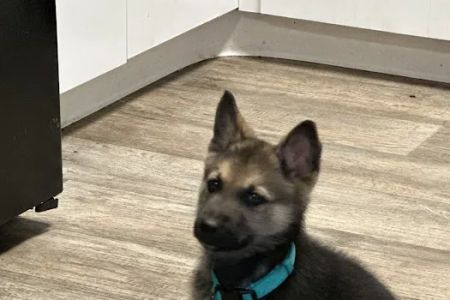Georgesville Road Animal Hospital