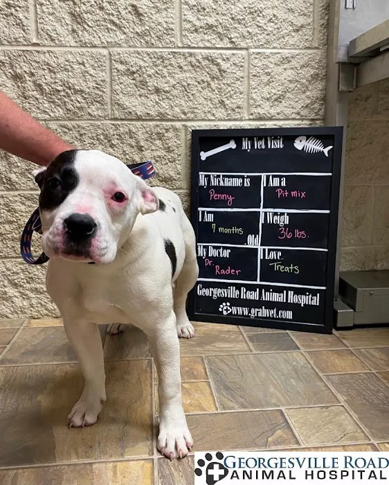 Georgesville Road Animal Hospital 12