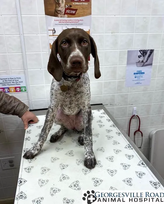 Georgesville Road Animal Hospital 12