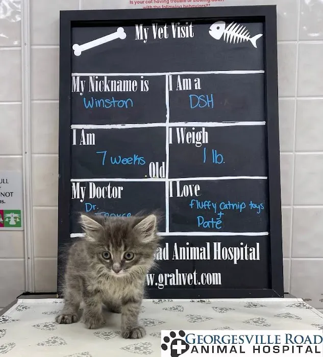 Georgesville Road Animal Hospital 12