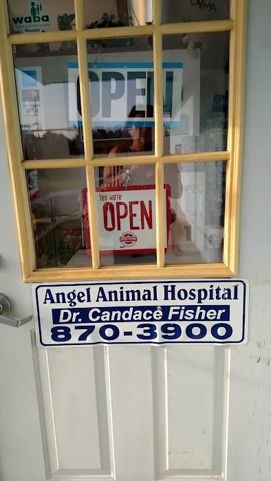 Angel Animal Hospital 12
