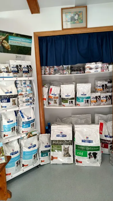 Angel Animal Hospital 12