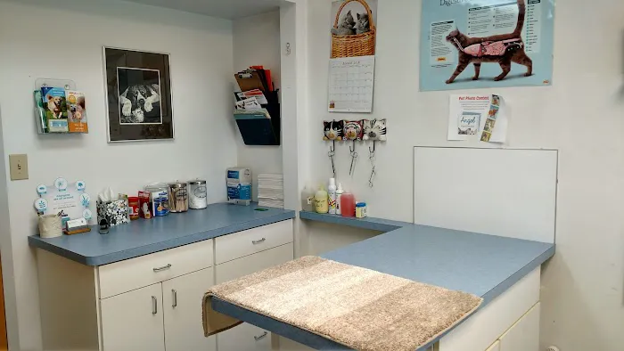 Angel Animal Hospital 12