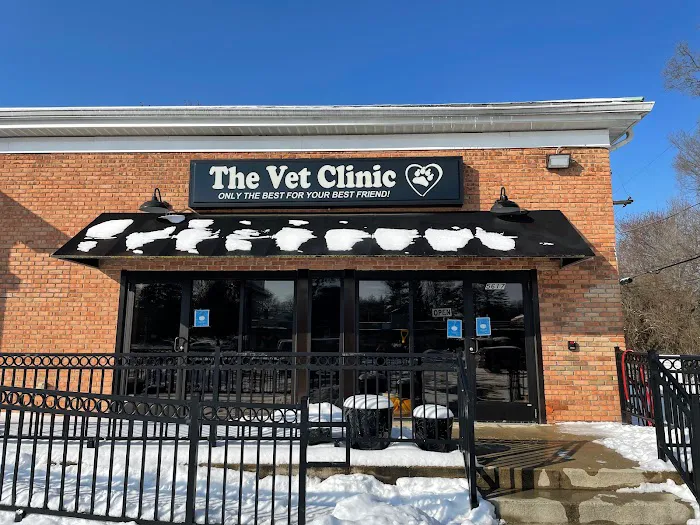 Vet Clinic 12