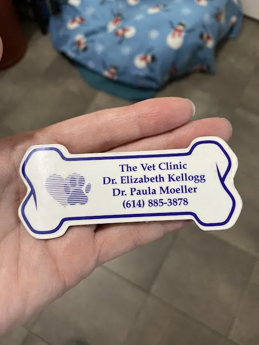 Vet Clinic 12