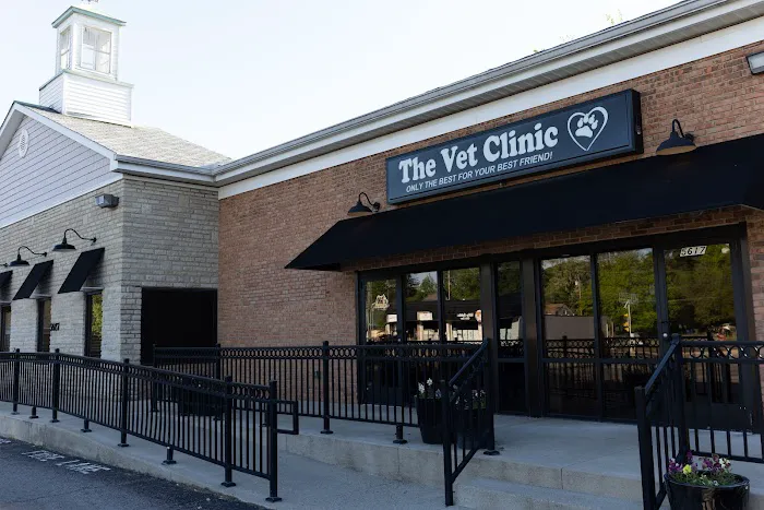 Vet Clinic 12
