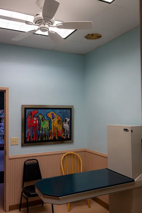 Vet Clinic 12